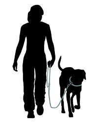 ... obedience, everyday dog manners to advance obedience, flyball, agility